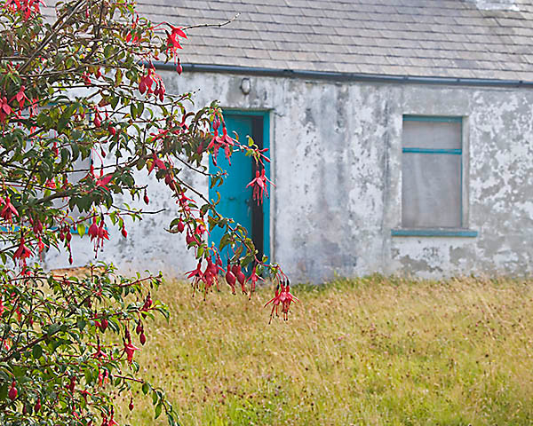 WY2T5243 
 Flowers and old cottage Donegal.