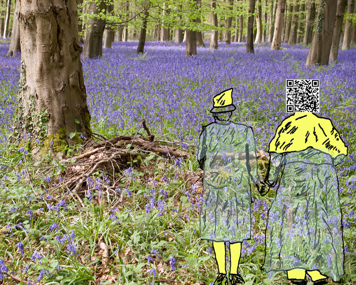 collectiveunconscious-limited-edition Y2T8310 
 Sussex Blue Bell Wood 2014, limited edition C4 prints.