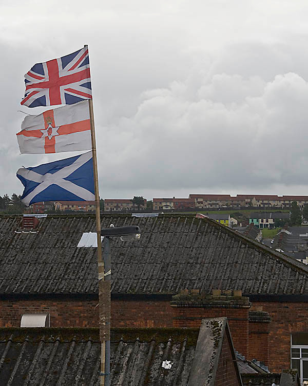 WY2T5171 
 Flags flying Derry, Londonderry.