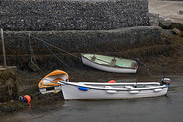 WY2T5307 
 Boats at low tide Rosses Point Sligo.