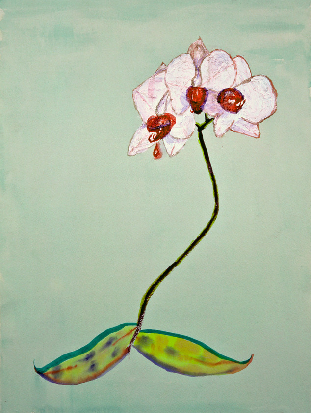 z3 orchid watercolour 
 Pre-aesthetic. Orchid. Watercolur and acrylic on paper.